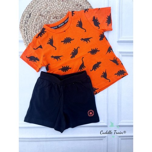 Dino - Shorts & Tees set