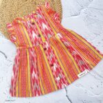 Multicolor Pochampally - Premium Ikat