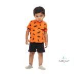 Dino - Shorts & Tees set - Image 2